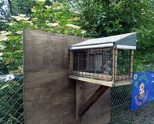 Bamford_BirdFeeders500Land