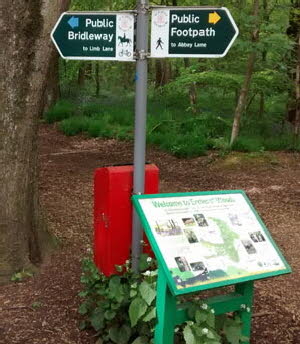 Ecclesall_Woods_2