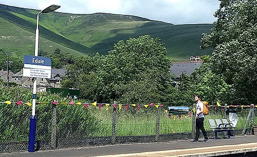 Edale_Bunting500Land