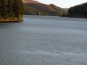 IMG_20200909_152224469_MP300px
